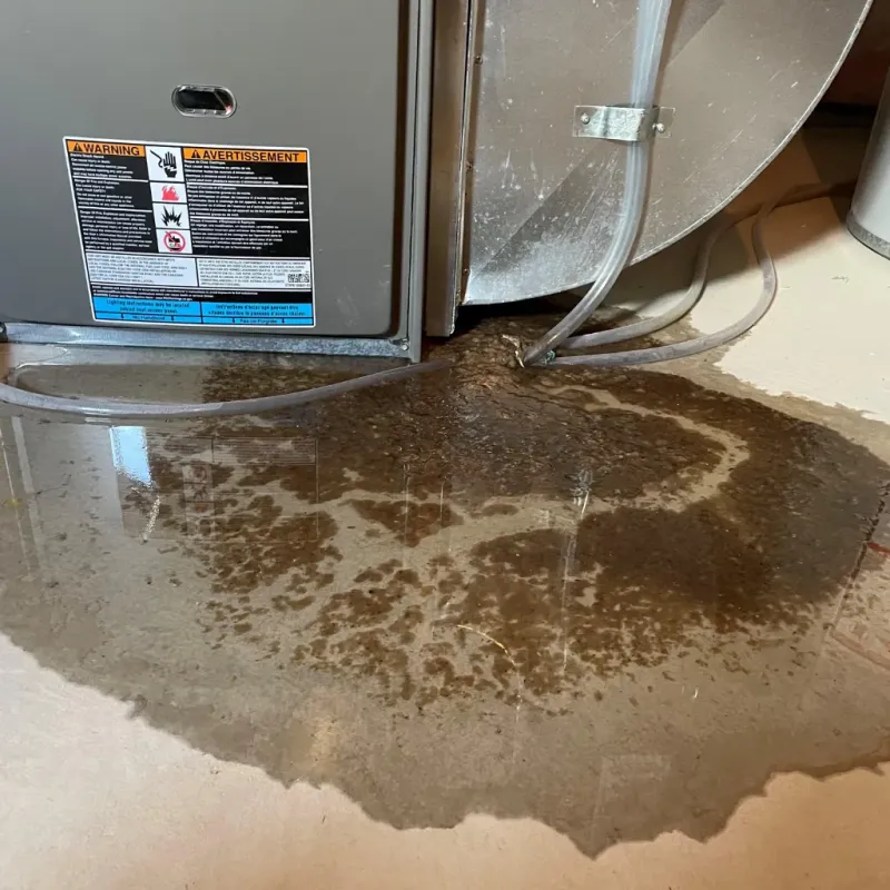 Appliance Leak Cleanup in Hurt, VA